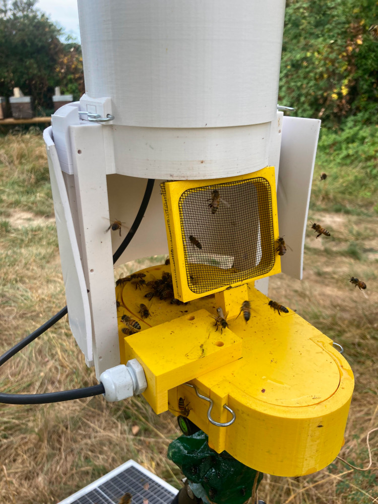 Modular and selective trap for vespa velutina.